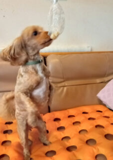 🏳️‍🌈みんなで全力！秋の運動会🏳️‍🌈